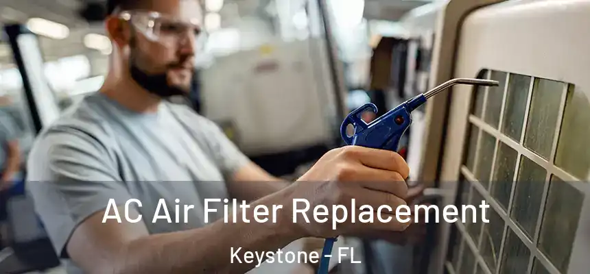 AC Air Filter Replacement Keystone - FL