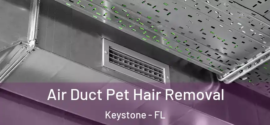 Air Duct Pet Hair Removal Keystone - FL
