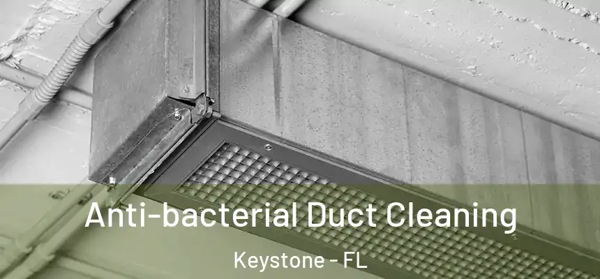 Anti-bacterial Duct Cleaning Keystone - FL