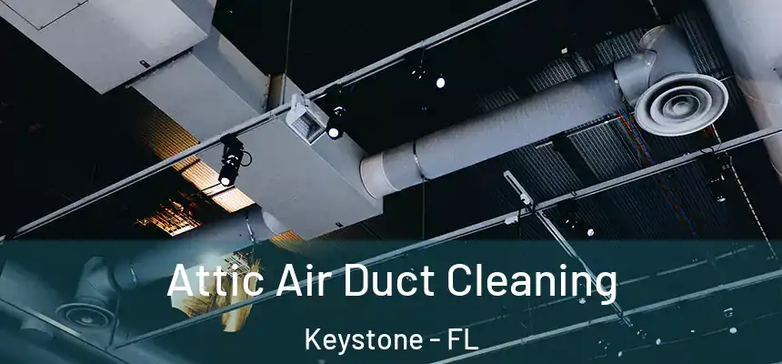 Attic Air Duct Cleaning Keystone - FL