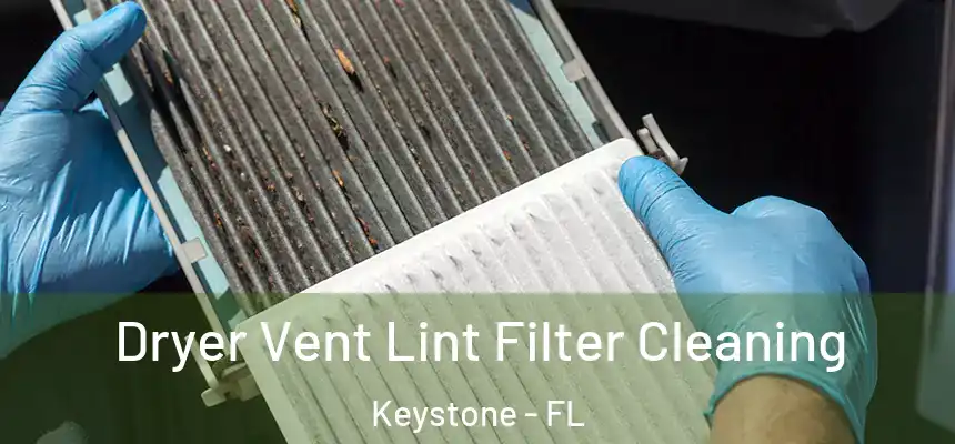 Dryer Vent Lint Filter Cleaning Keystone - FL