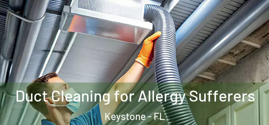 Duct Cleaning for Allergy Sufferers Keystone - FL