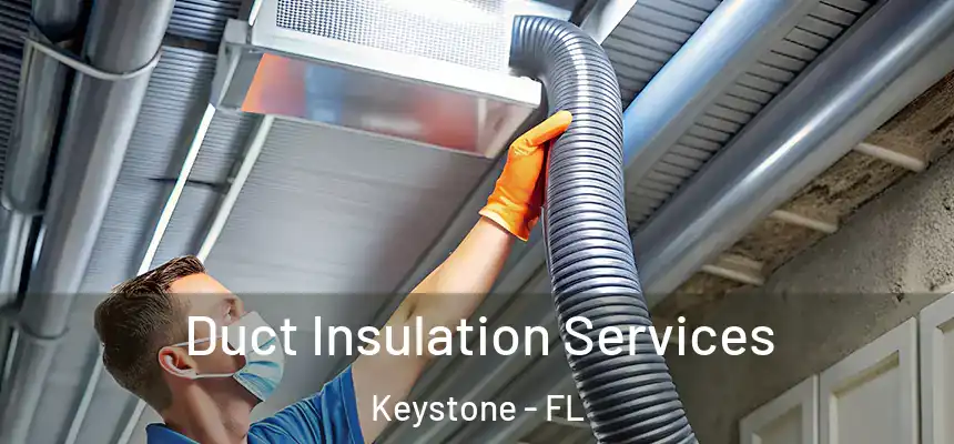 Duct Insulation Services Keystone - FL