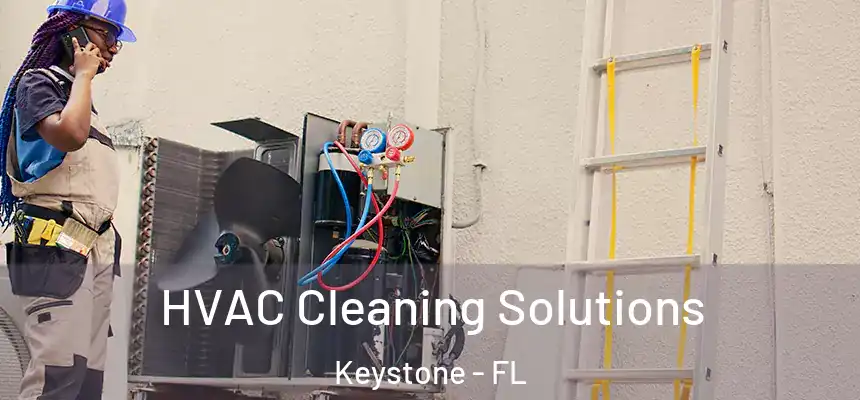 HVAC Cleaning Solutions Keystone - FL