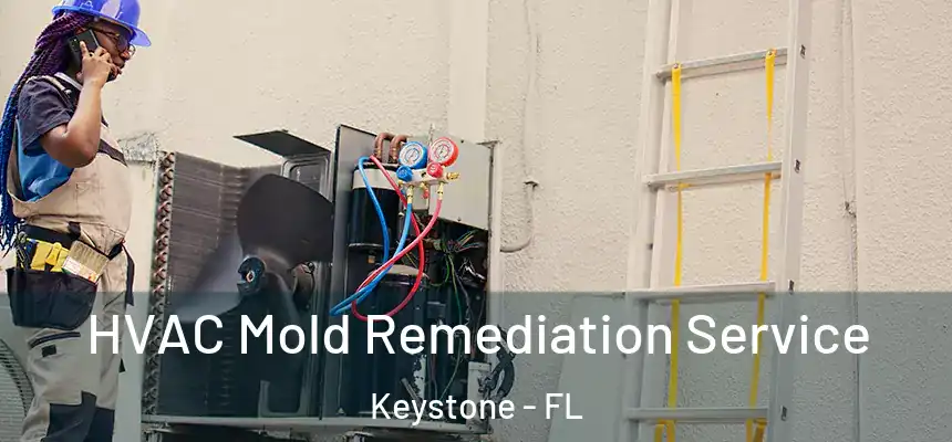 HVAC Mold Remediation Service Keystone - FL