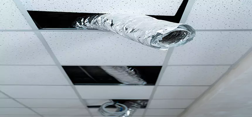 Affordable HVAC Sanitizing After Pest Removal in Keystone