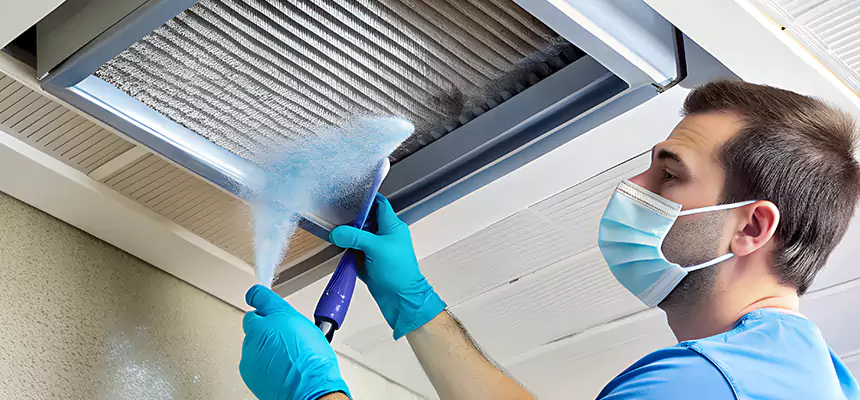 Proactive Dryer Vent & Auxiliary Duct Pollen Cleanup in Keystone, FL