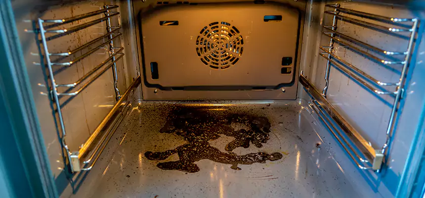 Our Dryer Vent Mold Cleaning Services in Keystone, FL