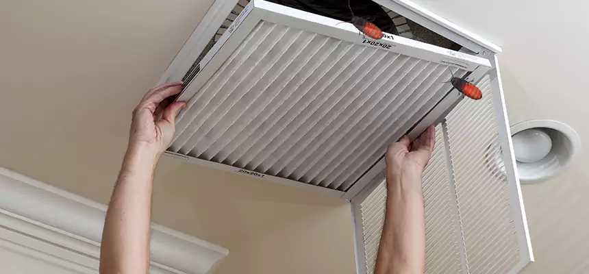Our Insect Removal from Air Ducts Services in Keystone, FL