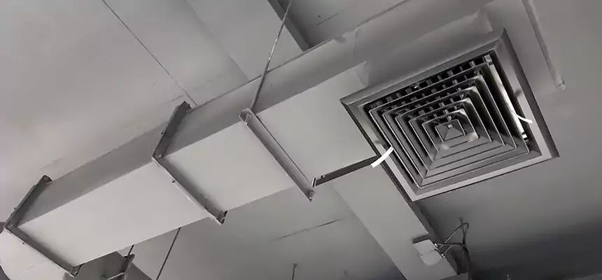 Our Pest Removal From Ducts Services in Keystone, FL