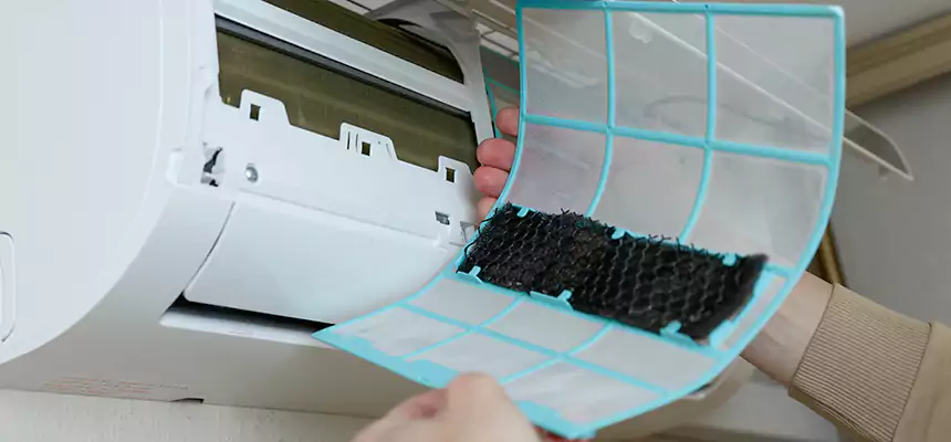 Gentle Ductwork Odor-Control Pet Dander Duct Cleaning in Keystone, FL