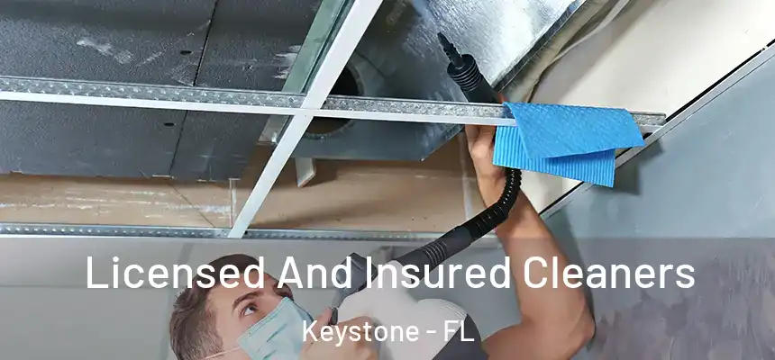 Licensed And Insured Cleaners Keystone - FL