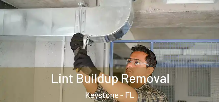 Lint Buildup Removal Keystone - FL