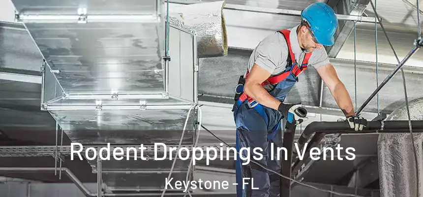Rodent Droppings In Vents Keystone - FL