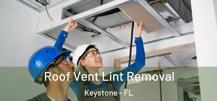 Roof Vent Lint Removal Keystone - FL