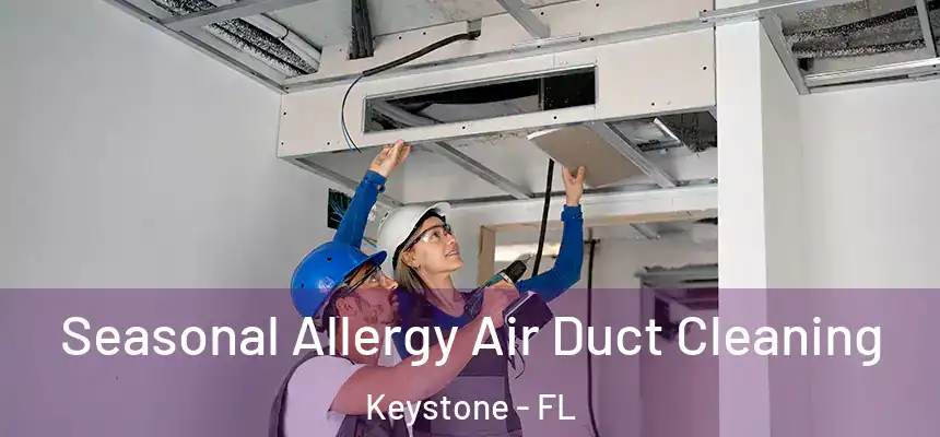 Seasonal Allergy Air Duct Cleaning Keystone - FL