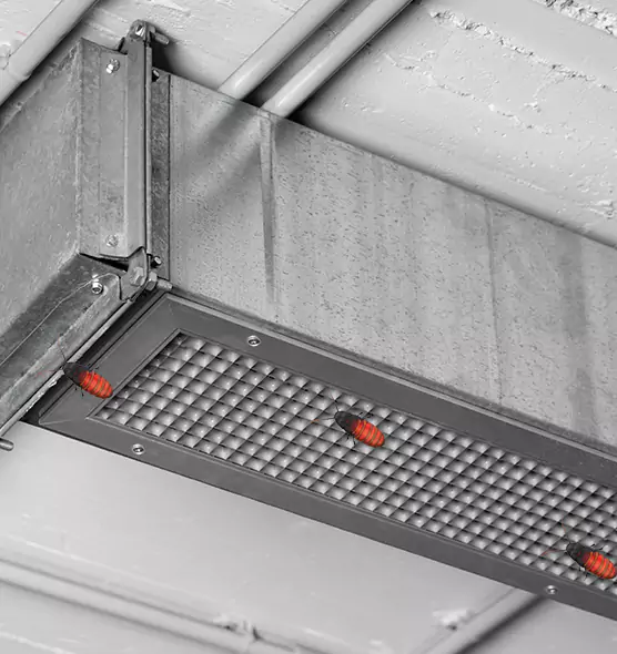 About Air Duct Cockroach Removal in Keystone, FL