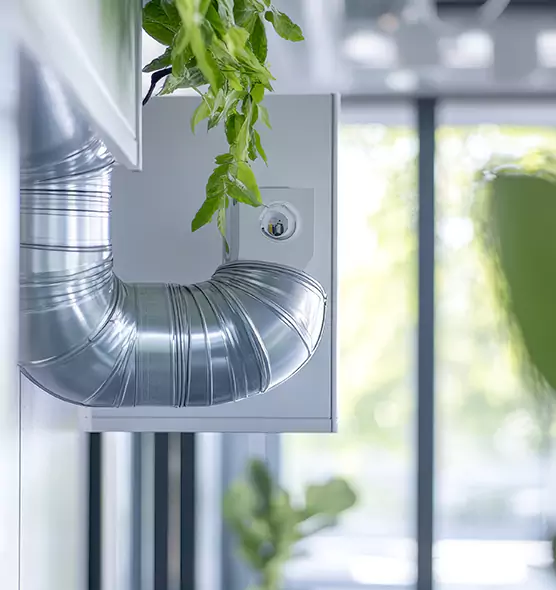 Professional Eco-Safe Dryer Vent Cleaning in Keystone, FL