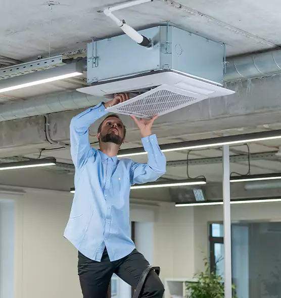 Advanced Rodent Droppings In Vents in Keystone, FL