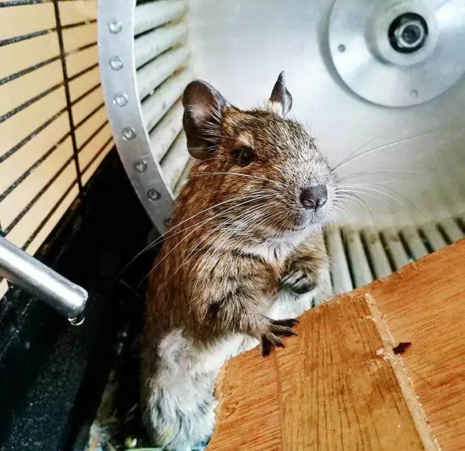 Why Homeowners & Businesses Trust Us Keystone, FL?