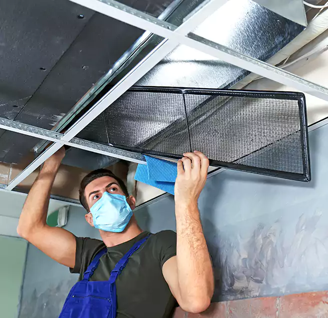 Why Homeowners Businesses Trust Us in Keystone, FL