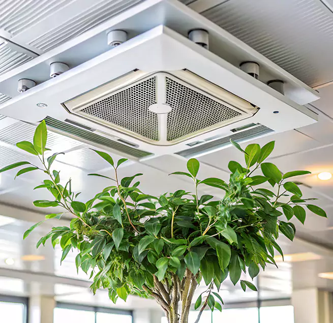 Why Homeowners & Businesses Trust Us in Keystone, FL