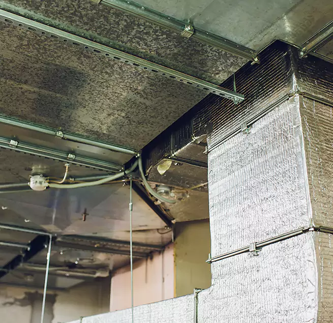 Why Homeowners & Businesses Trust Us in Keystone, FL?