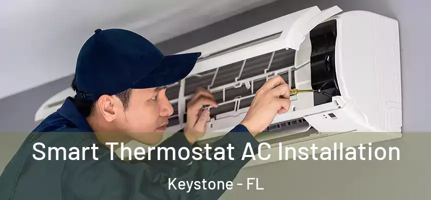 Smart Thermostat AC Installation Keystone - FL